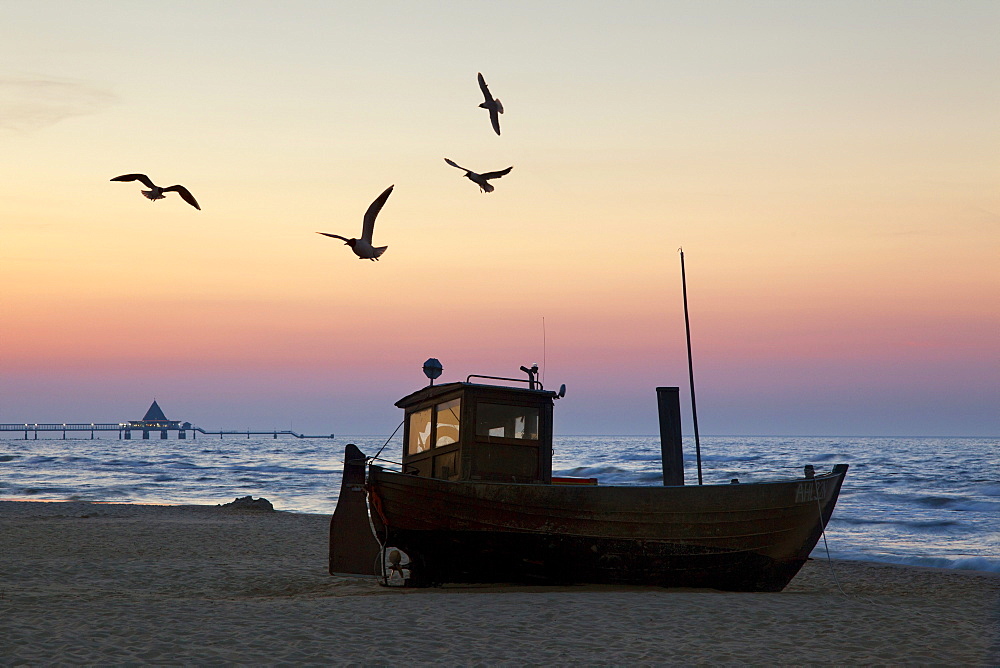 Seagulls above a cutter, view towards the pier, Heringsdorf seaside resort, Usedom island, Baltic Sea, Mecklenburg-West Pomerania, Germany