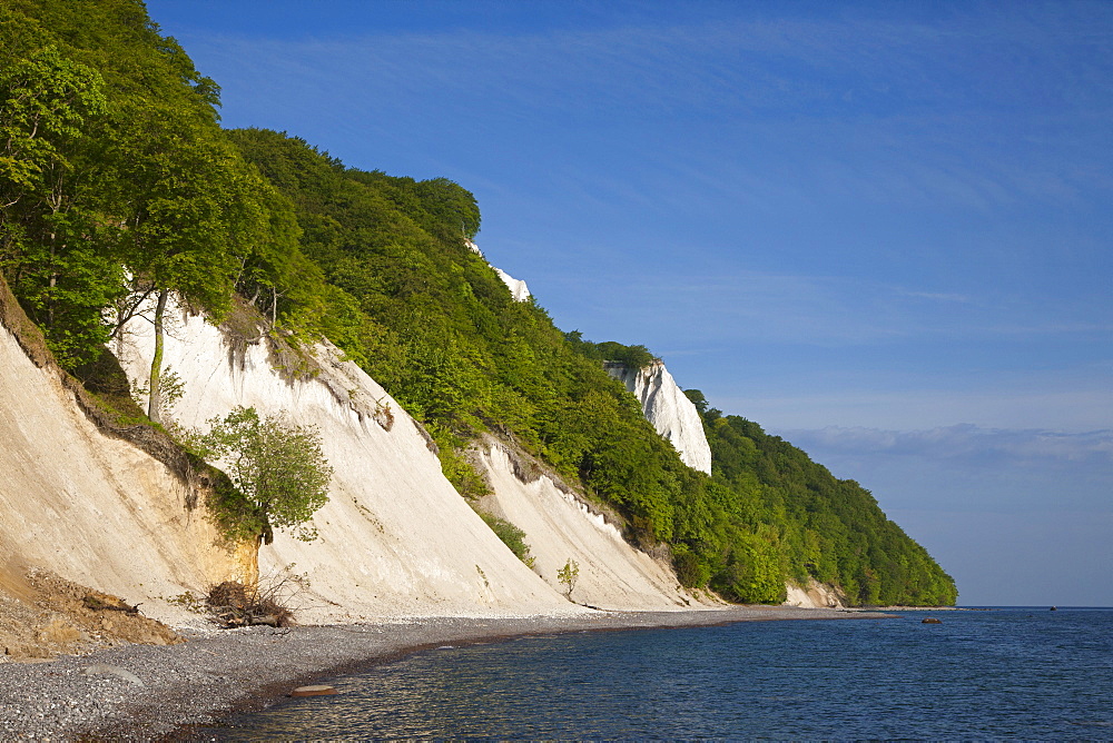 View towards Koenigstuhl and the chalk cliffs, Jasmund National Park, Ruegen island, Baltic Sea, Mecklenburg-West Pomerania, Germany