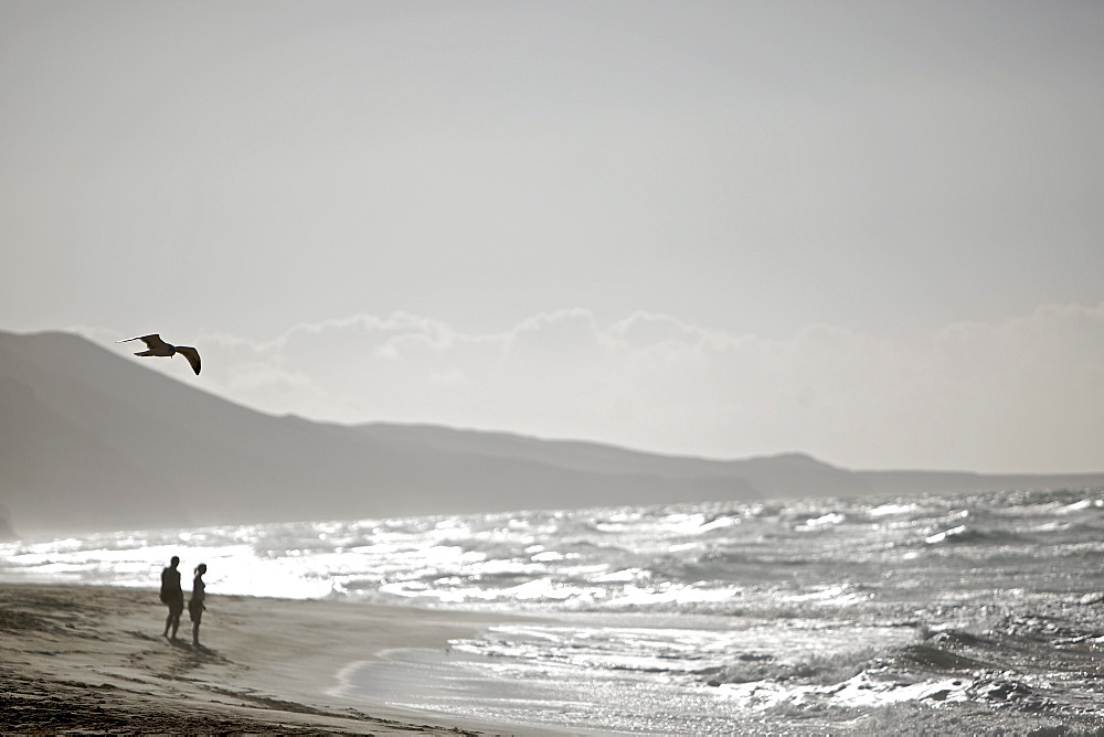 Couple at beach, Fuerteventura, Spain