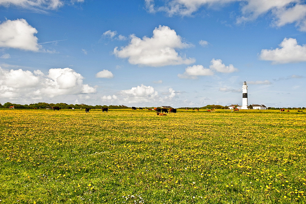 Lighthouse under clouded sky, island of Sylt, Schleswig Holstein, Germany, Europe