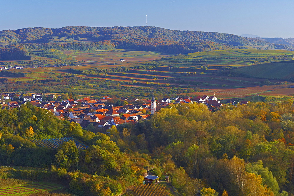 View over vineyards and forest at Sasbach, Kaiserstuhl, Baden Wuerttemberg, Germany, Europe