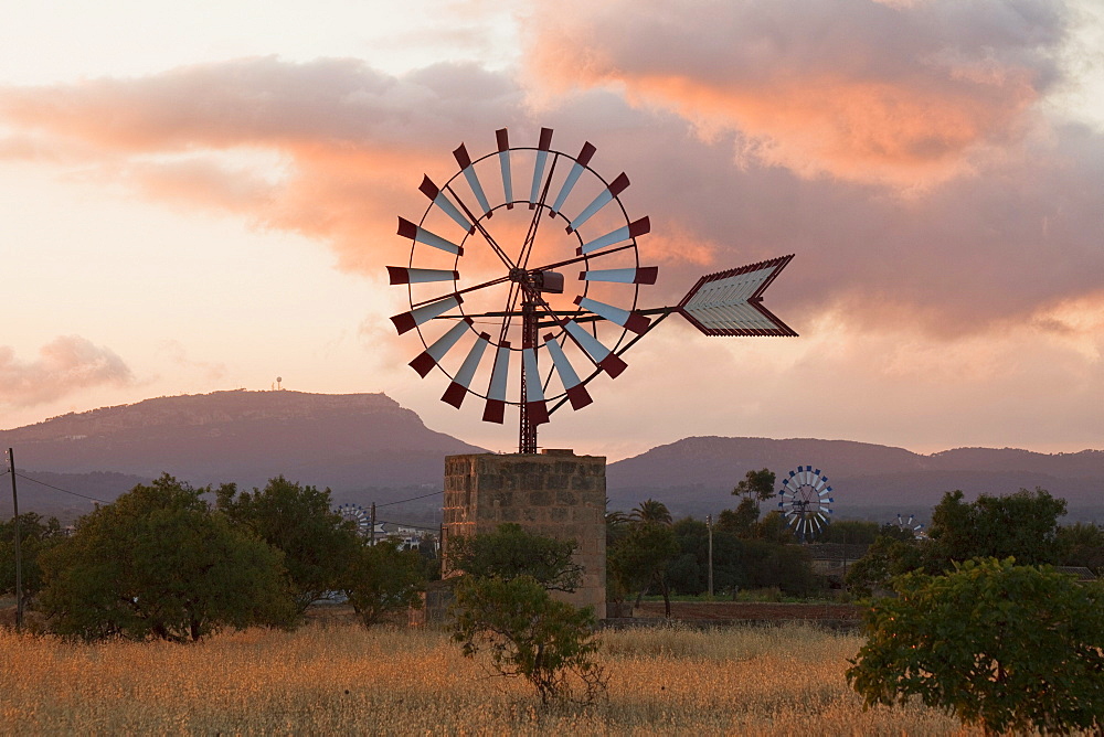 Wind wheels, cottage, near Campos, Mallorca, Balearic Islands, Spain, Europe