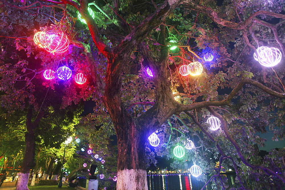 Colourful lights in a tree at Hoan Kiem Lake, Hanoi, Vietnam, Asia