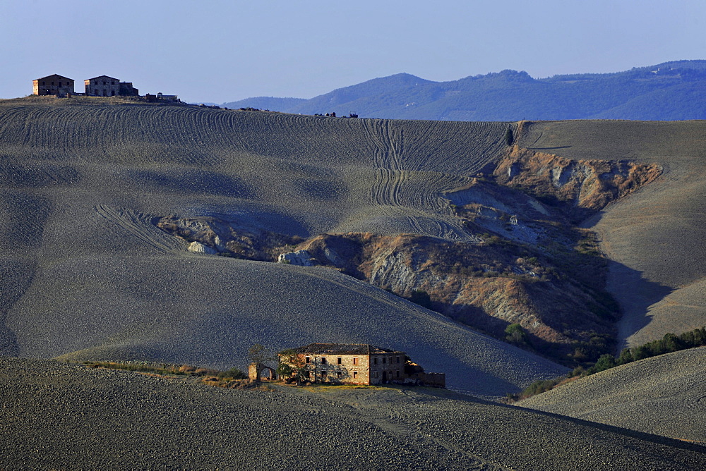 Homestead in hilly landscape, Crete, Tuscany, Italy, Europe