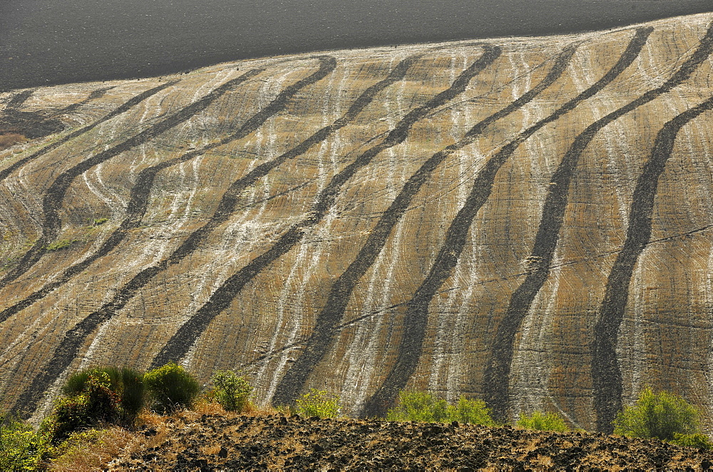 View of hilly landscape of the Crete, Tuscany, Italy, Europe