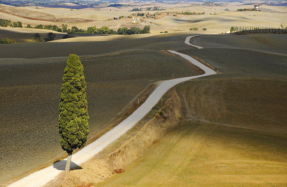 Country road in a hilly landscape, Crete, Tuscany, Italy, Europe