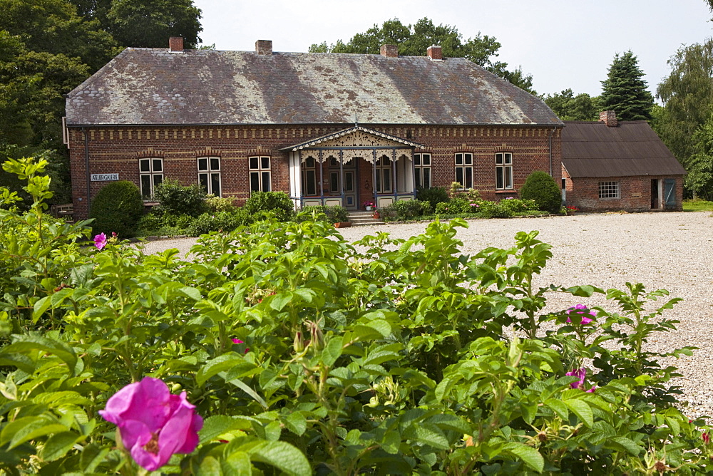 Frisian country house in the village Unewatt, commune Langballig, county Schleswig-Flensburg, federal state of Schleswig-Holstein, Baltic Sea, Germany, Europe