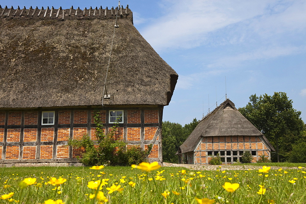 Frisian farm house with thatched roof in the village Unewatt, commune Langballig, county Schleswig-Flensburg, federal state of Schleswig-Holstein, Baltic Sea, Germany, Europe