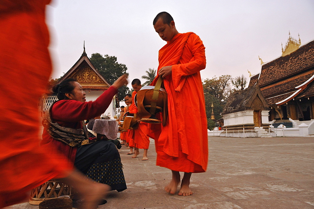 Monks collecting alms before sunrise, Luang Prabang, Laos