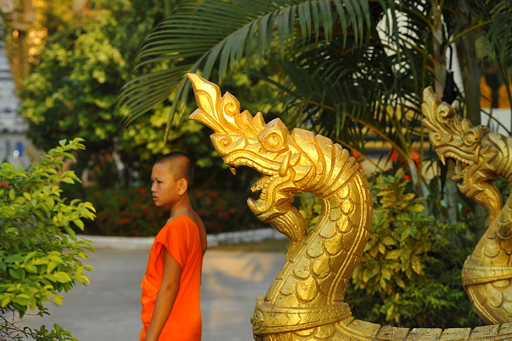 Golden Nagas and Buddhist monk, novice, Wat Luang, Pakse, Laos