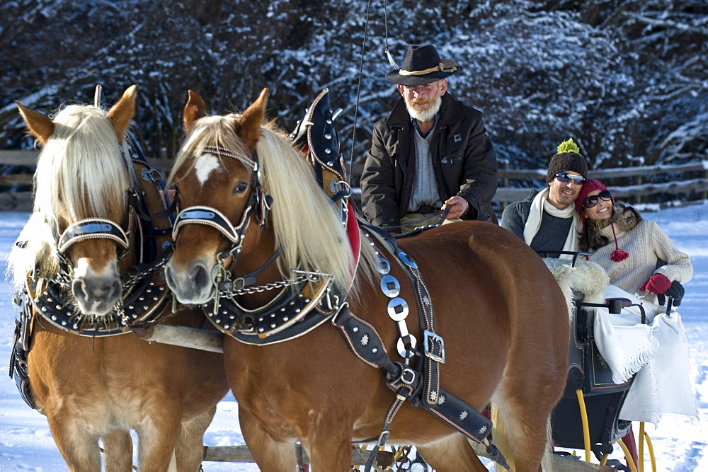 People in a horse drawn slay in snowy landscape, Alto Adige, South Tyrol, Italy, Europe