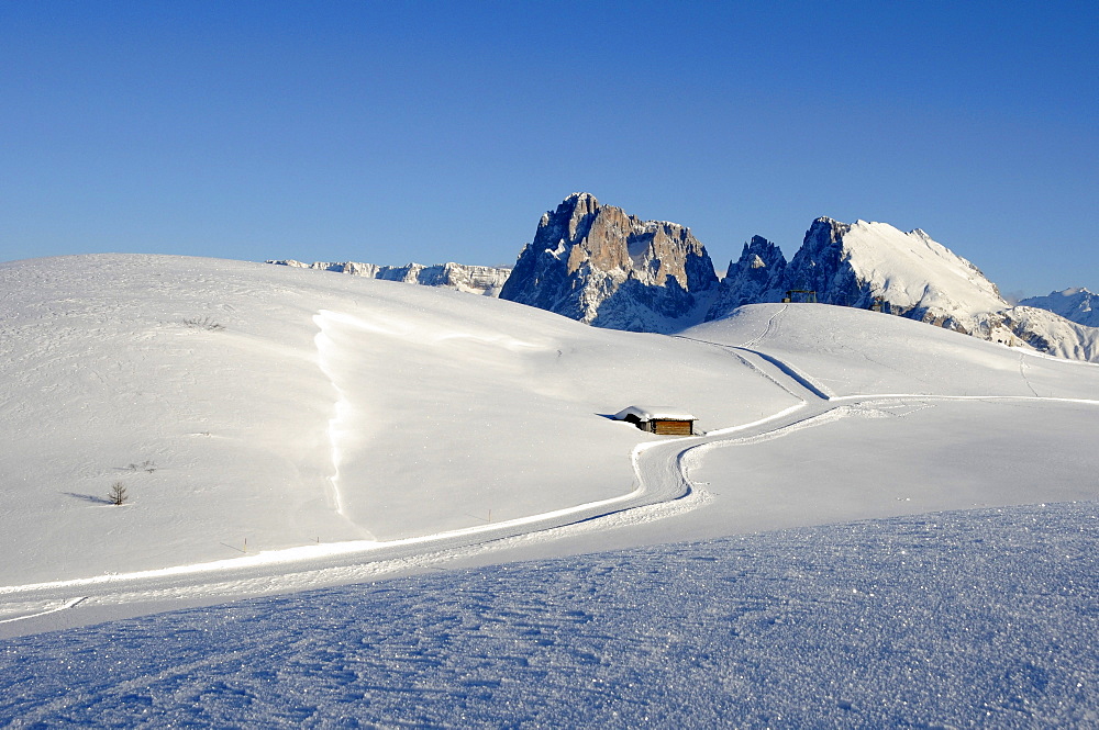 Cross country skiing trail in sunlit winter landscape, Alpe di Siusi, Puflatsch, Alto Adige, South Tyrol, Italy, Europe