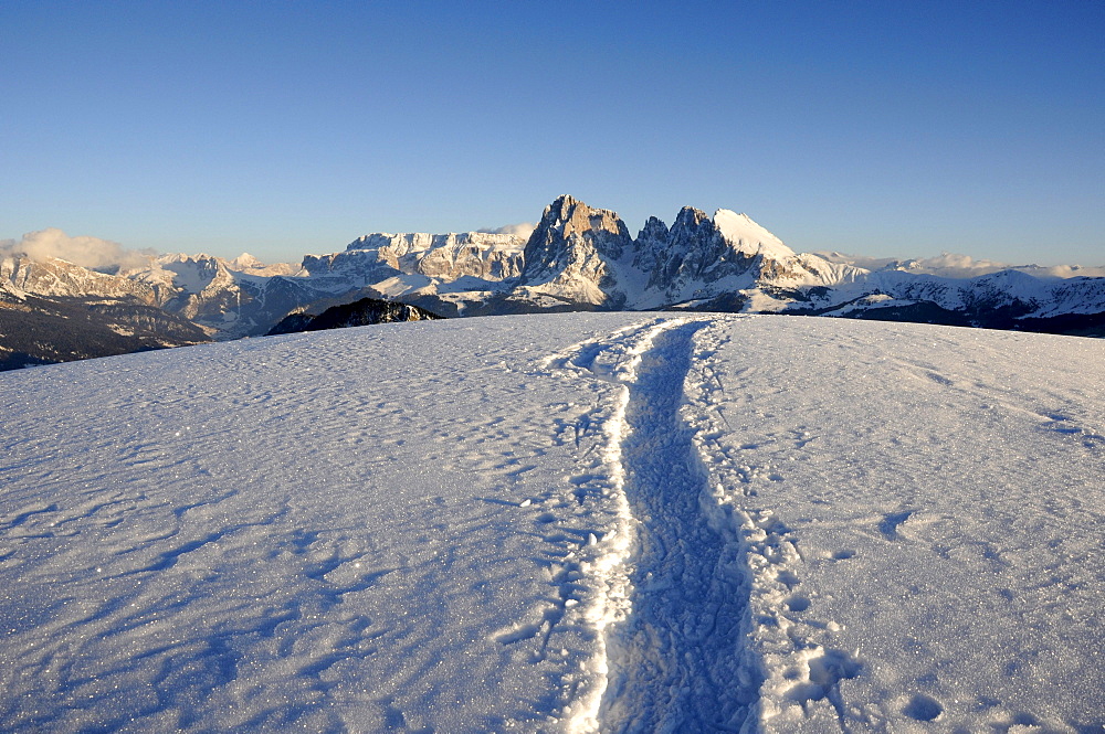 Traces in snowy mountain landscape in the evening sun, Alpe di Siusi, Langkofel, Alto Adige, South Tyrol, Italy, Europe