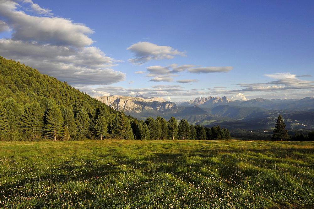 Alp meadow in the mountains, Alto Adige, UNESCO World Nature Site, South Tyrol, Italy