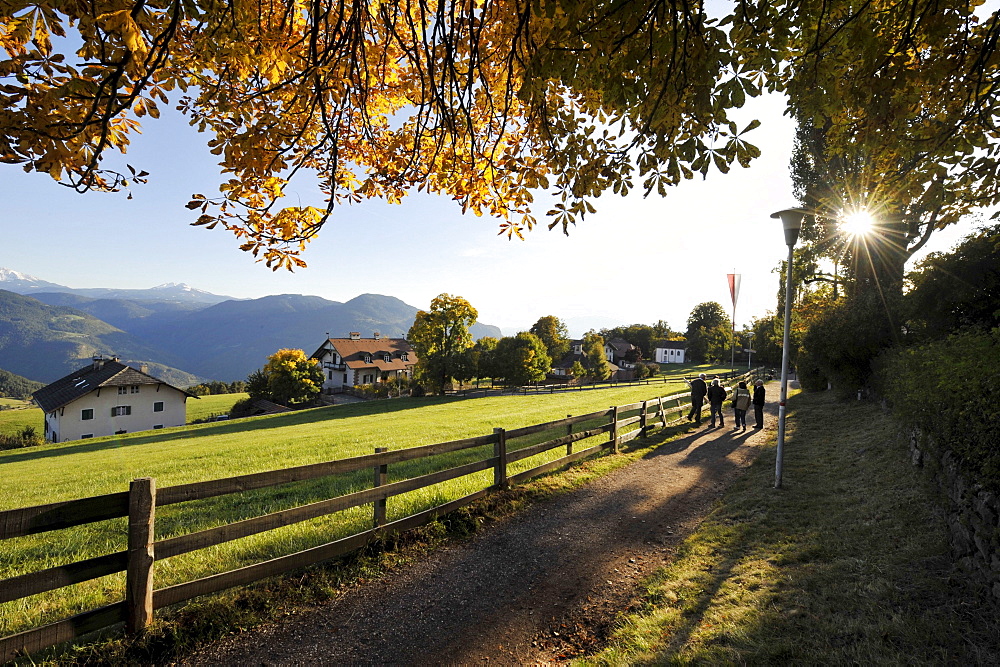 People walking surrounded by autumn landscape, Oberbozen, Ritten, Alto Adige, South Tyrol, Italy