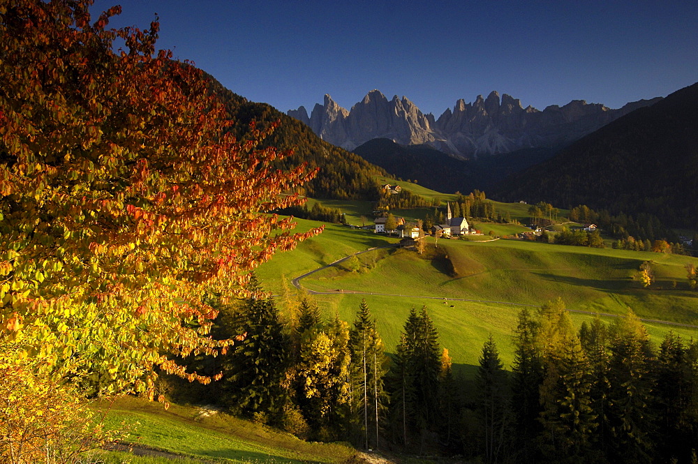 St. Magdalena at valley of Villnoess in autumn, Dolomites, South Tyrol, Alto Adige, Italy, Europe