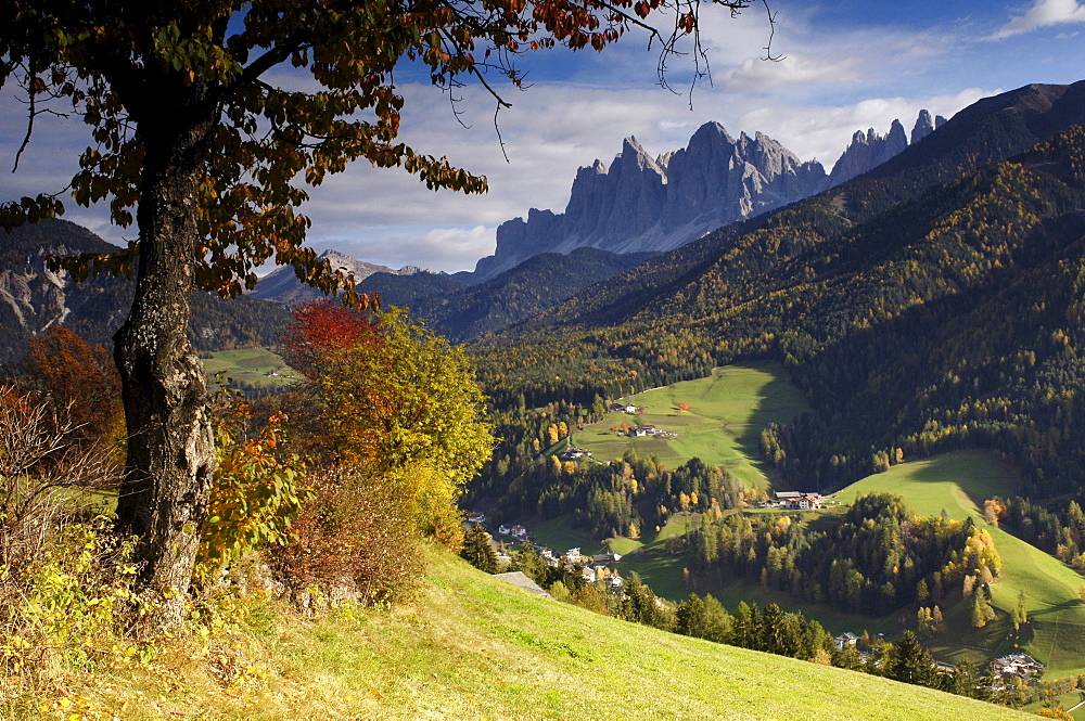 View of St. Magdalena at valley of Villnoess in autumn, Dolomites, South Tyrol, Alto Adige, Italy, Europe