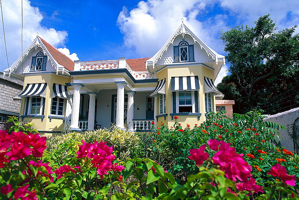 Flowers in front of a residential house in the sunlight, St. George, Grenada, Caribbean, America