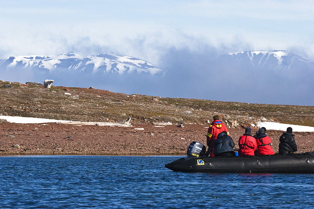 tourists watching Polar Bear from Zodiac, Spitsbergen, Norway