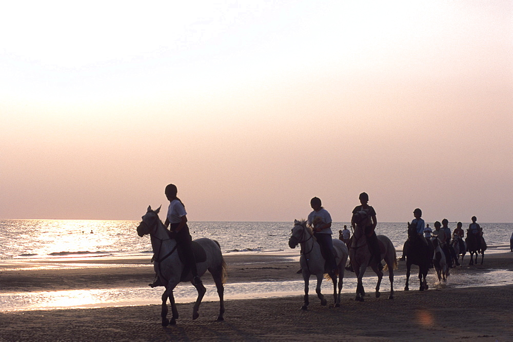 Horse Riding along the beach at sunset, Rindby Beach, Rindby, Fano, Denmark