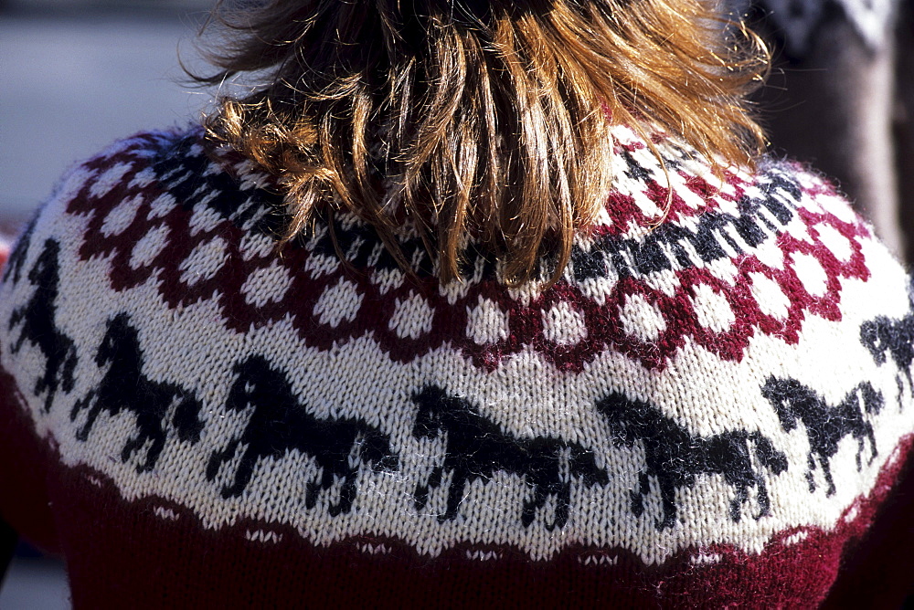 Icelandic Horse Sweater, Ã•safjoerdur, Isafj'rdur, Ã•safjardarbar, Iceland