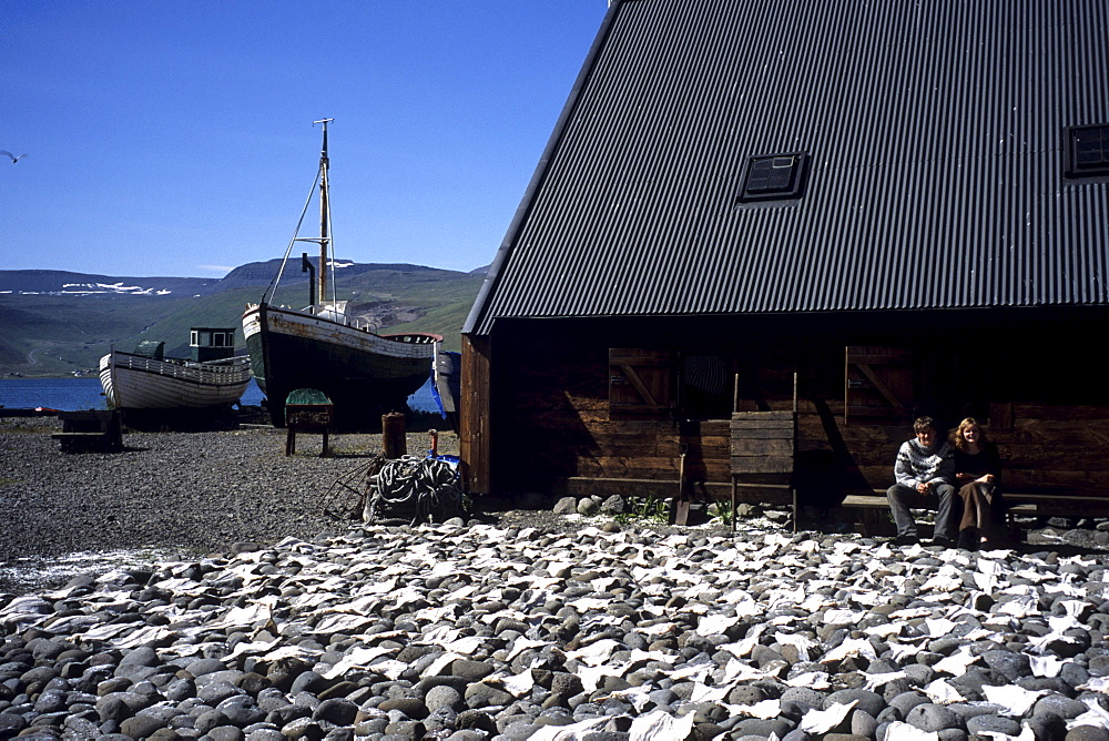 Drying Icelandic Saltfish, Turnhus Maritime Museum, Ã•safjoerdur, Isafj'rdur, Ã•safjardarbar, Iceland