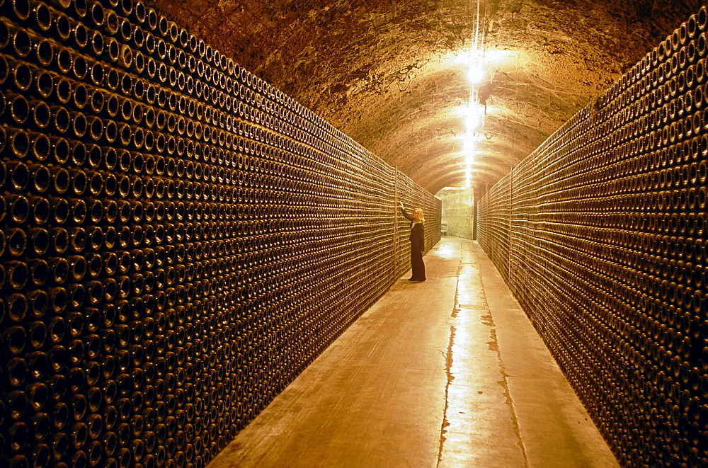 Bottles int he wine cellar, Penedes, Cava Cellar methode champagnoise, Freixenet, Sant Sadurni d'Anola, Catalonia, Spain