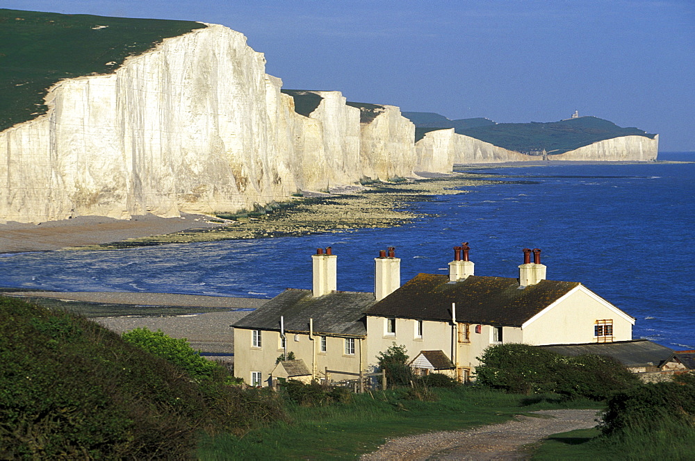 Seven Sisters, limestone cliffs at the coast, Eastbourne, Sussex, England, Great Britain, Europe