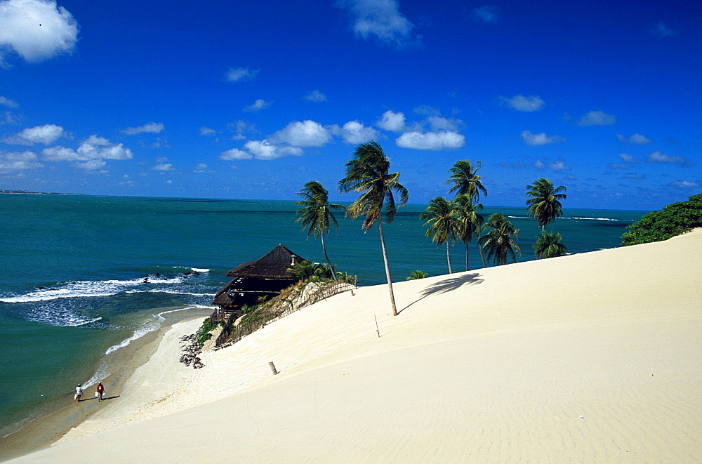 Sand dunes of Genipabu, Beach Genipabu, Natal, Rio Grande do Norte, Brazil