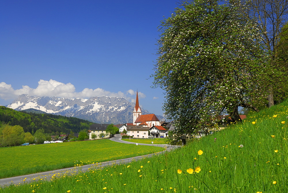 church of Adnet with Untersberg, Hochthron, Salzkammergut, Salzburg, Austria