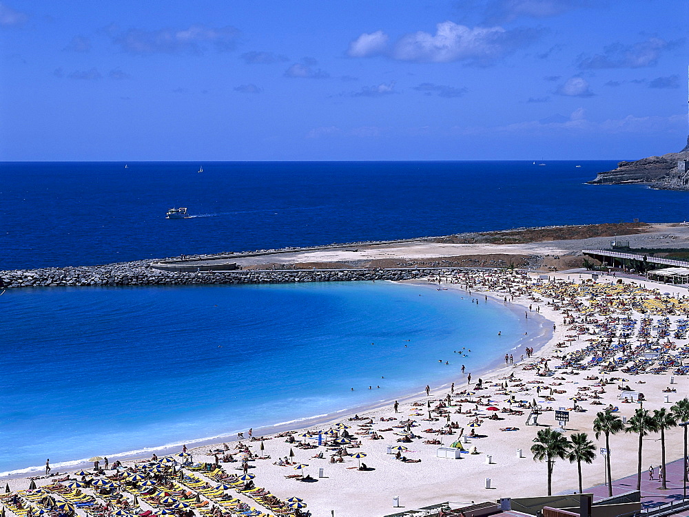 Playa de los Amadores, Puerto de Mogan, Gran Canaria, Canary Islands, Spain