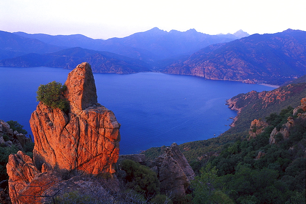 Rocky coast, Les Calanche near Porto, west coast Corsica, France