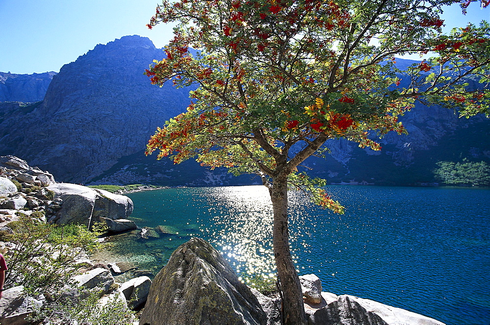 Hiking, Georges de la Restonica, Corsica, France