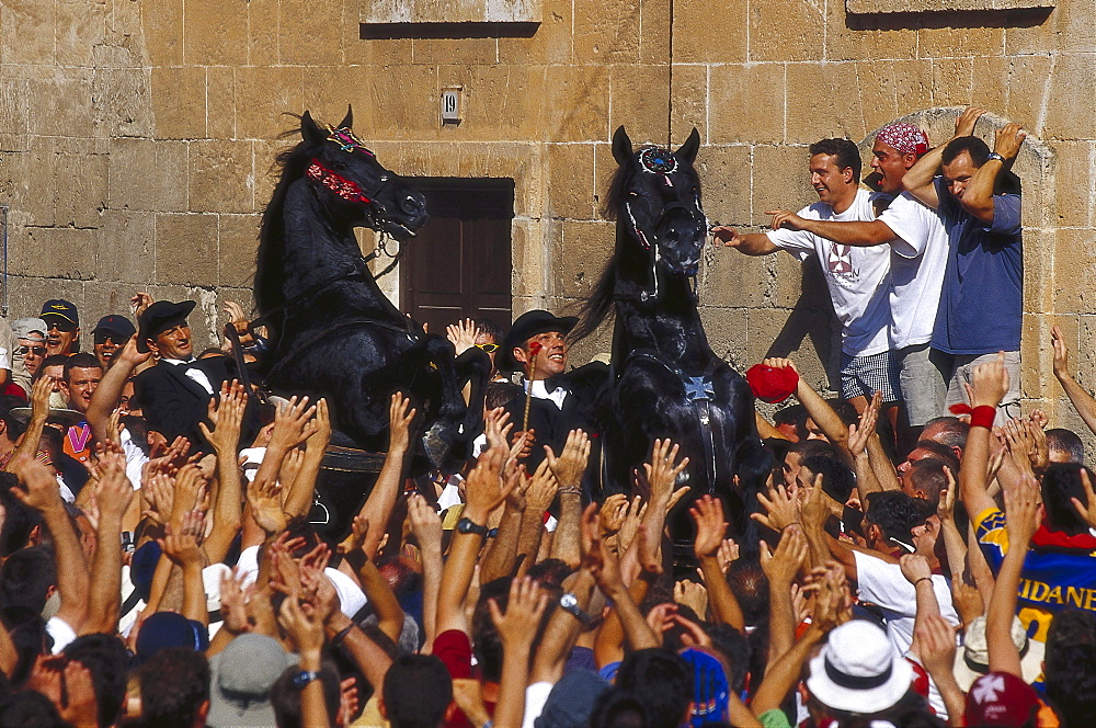 Traditional horse dance of the Menorcan horses, Jaleo, Ciutadella, Minorca, Spain