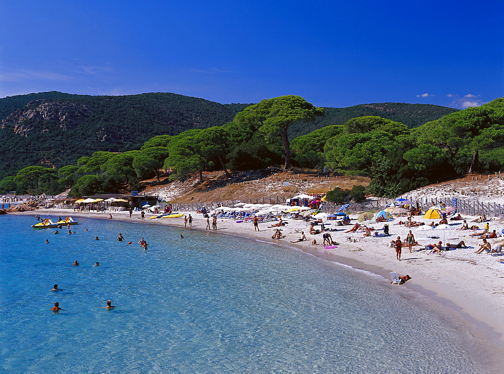 Plage de Plombaggio Beach, near Porto Vecchio Corsica, FranceP