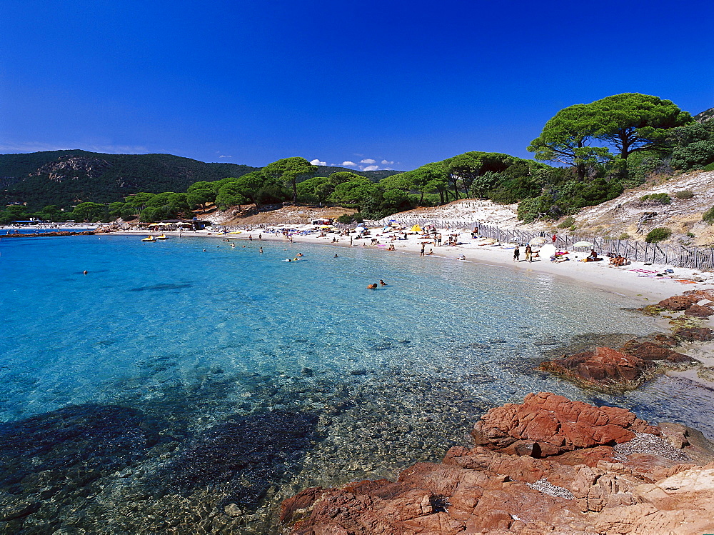 Plage de Palombaggio, Beach, East coast near Porto-Vecchio Corsica, France