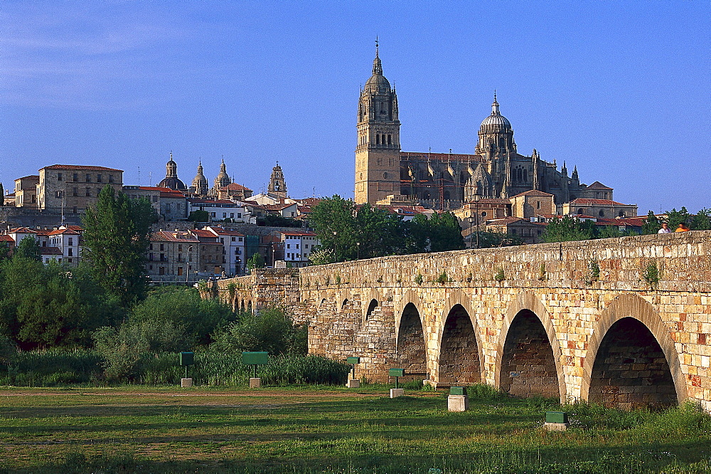 Puente Romano, Roman bridge and cathedral, Salamanca, Castilla-Leon, Spain