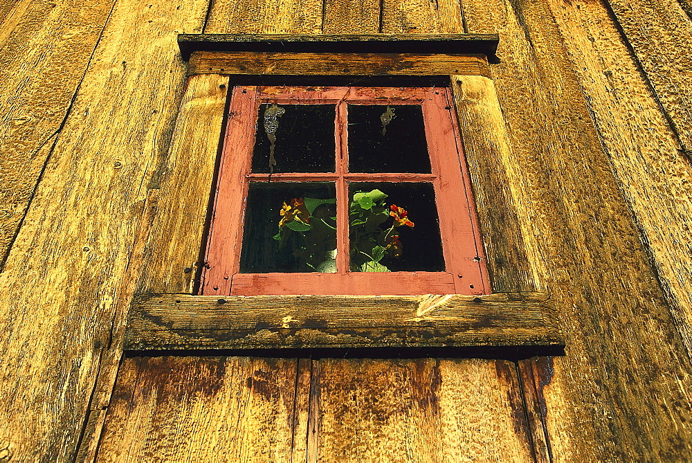 Window of a church, Detail, Lom, Oppland, Norway