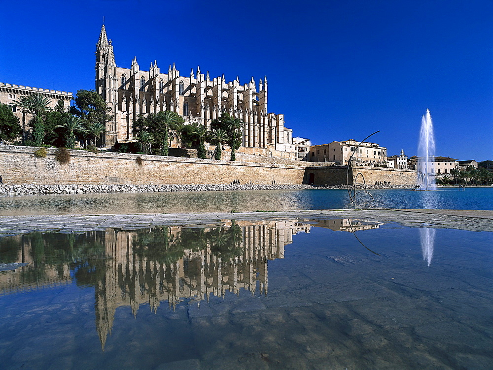 Cathedral La Seu with reflection, Palma Cathedral, Cathedral of Santa Maria of Palma, Palma de Mallorca, Mallorca, Spain