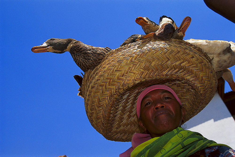 Saleswoman with ducks, Betafo, Madagascar