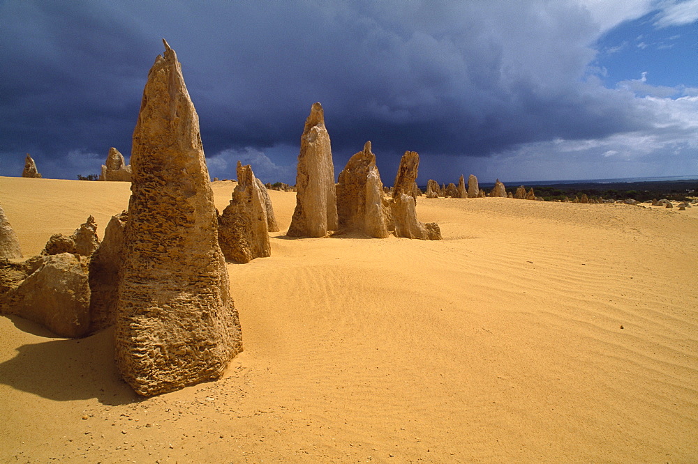 Pinnacles in the desert under thunderclouds, Nambung National Park, Western Australia, Australia