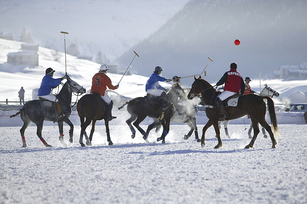 Playing polo in the snow, International tournament in Livigno, Italy