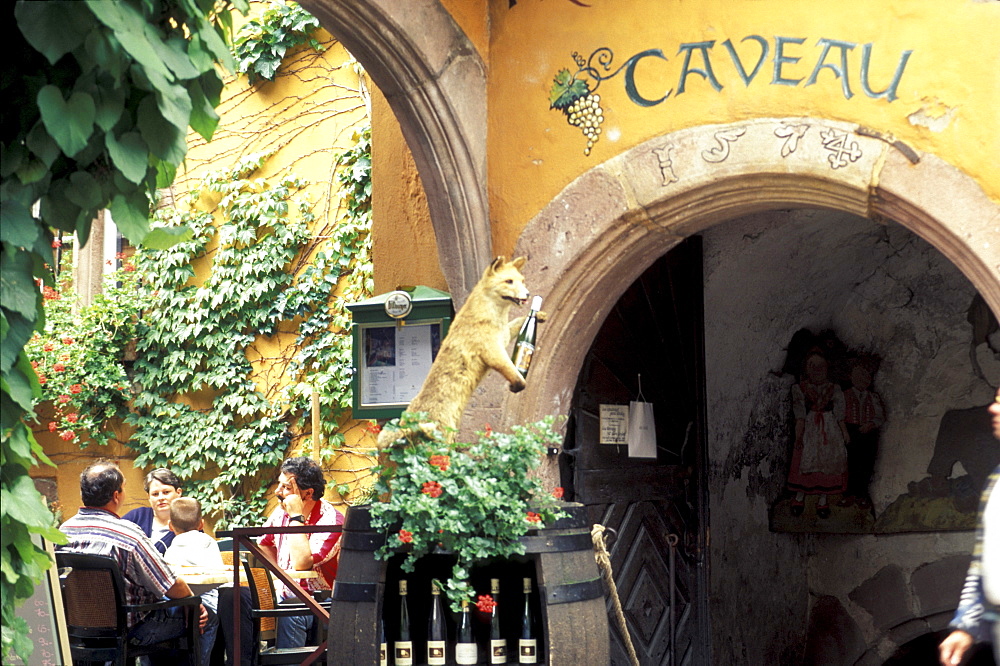 Winery, Alsac, France