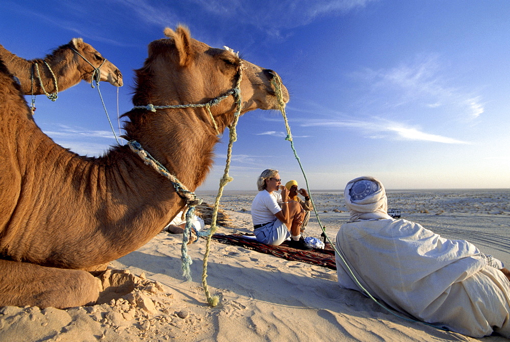 Picnic in the desert with Ben Ali, Berber, and Dromedare Nefta, Tunesia