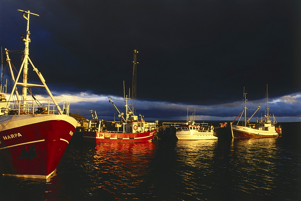 Fishing boats in the harbour, Hyammstangi, North coast of Island, Island