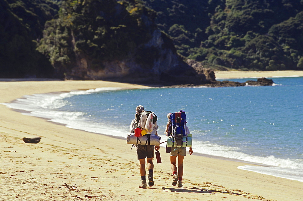 Hikers with rucksack on the beach in the sunlight, Abel Tasman Coast Track, Abel Tasman National Park, New Zealand, Oceania