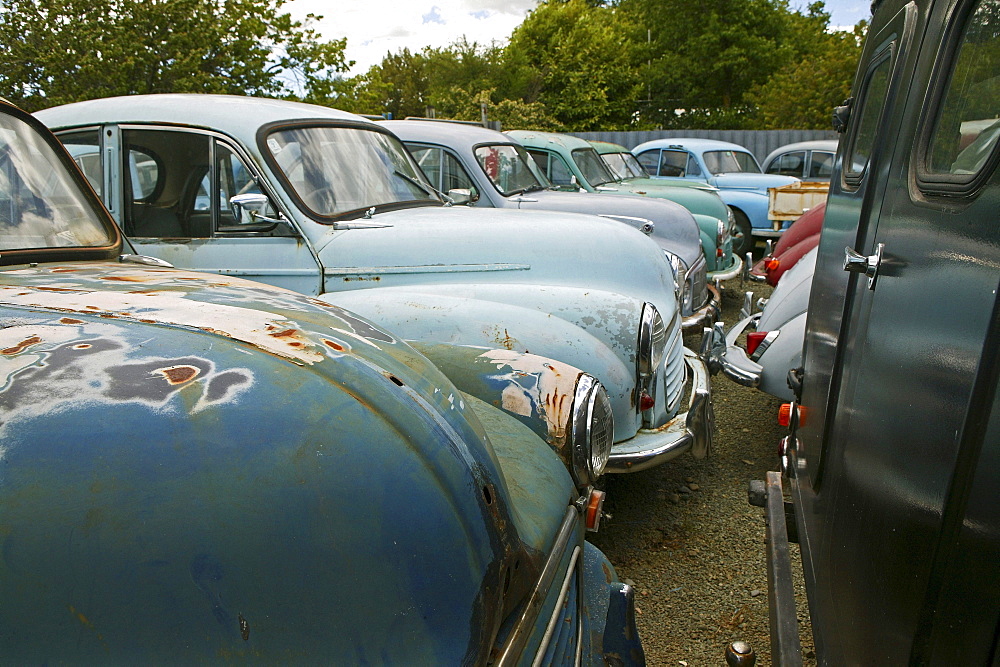 Old cars, Morris car yard, Nelson, South Island