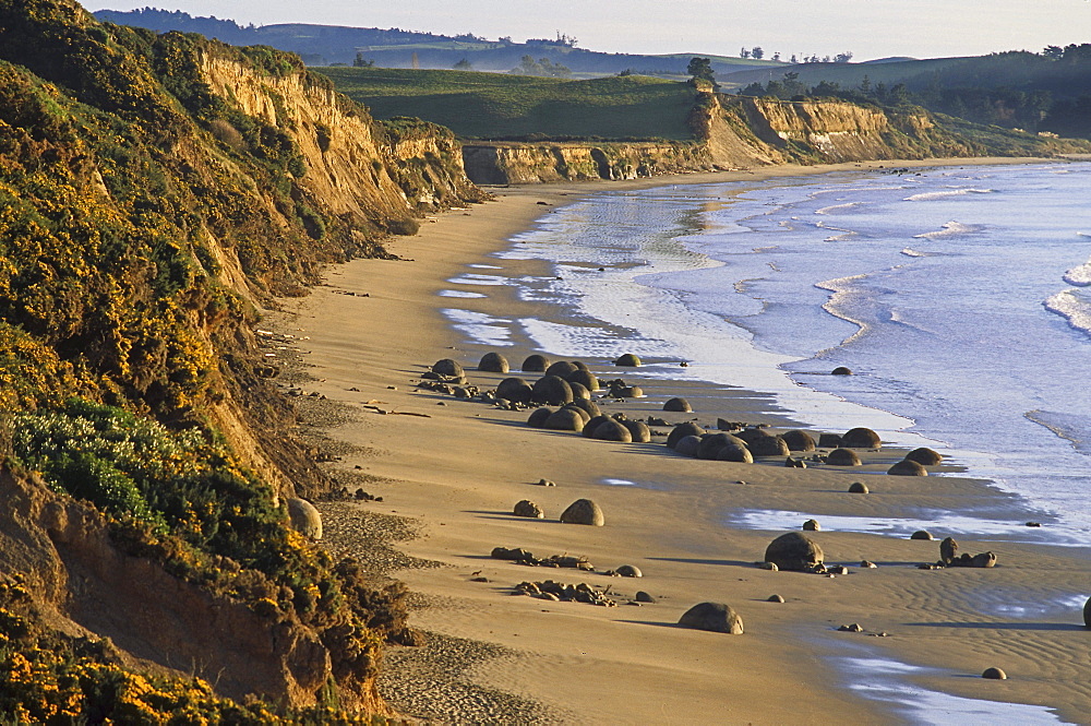 View of Moeraki boulders on the beach, South Island, New Zealand, Oceania