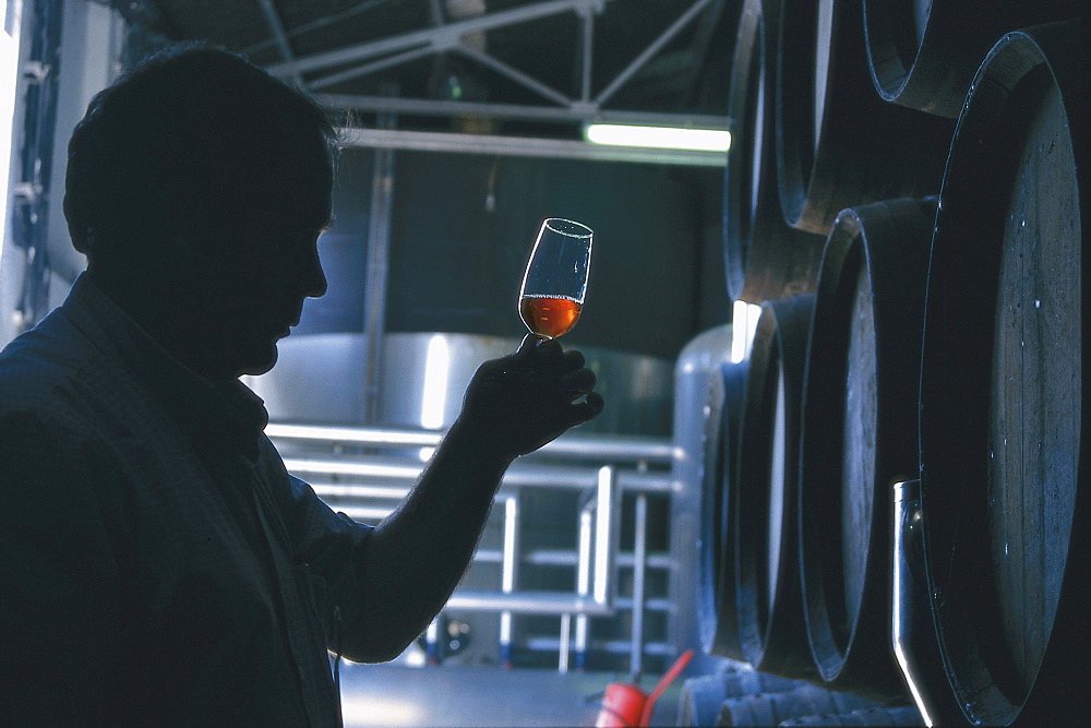 A man tasting sherry, Jerez, Andalusia, Spain, Europe