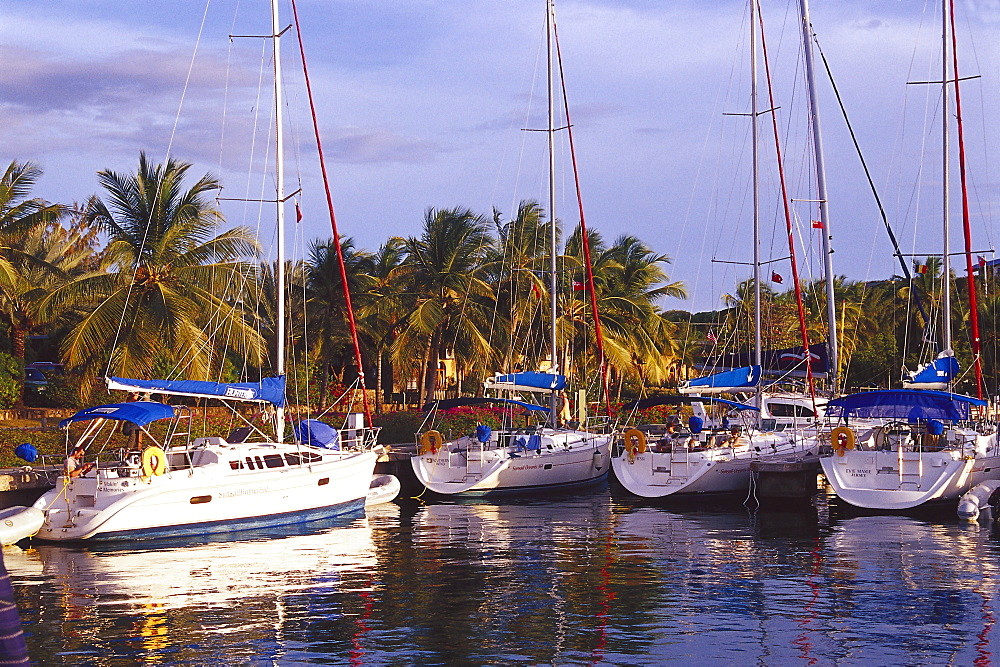 Sailing boats at harbour in front of palm trees, Spanish Town, Virgin Gorda, British Virgin Islands, Caribbean, America